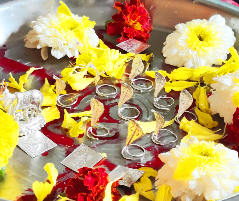 Kalsarp Dosh Nivaran Puja