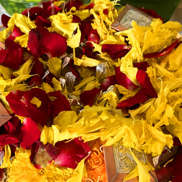 kalsarp puja