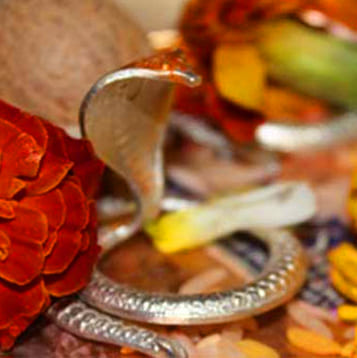 Kaal Sarp Dosh Remedies and Upay